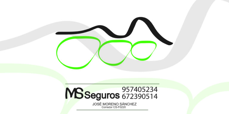 MSSEGUROS Logo 768x384