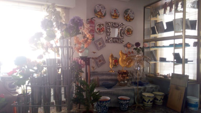 drogueria juli decoracion 768x432