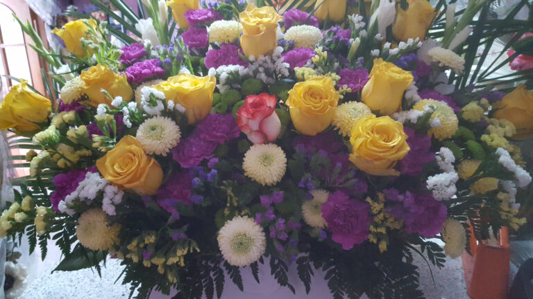 floristeria maja flores colorido 768x432