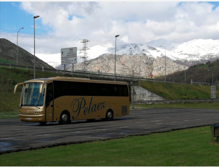 vip bus carretera 768x585