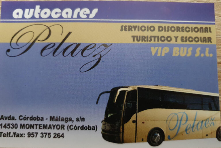vip bus tarjeta pelaez 768x514
