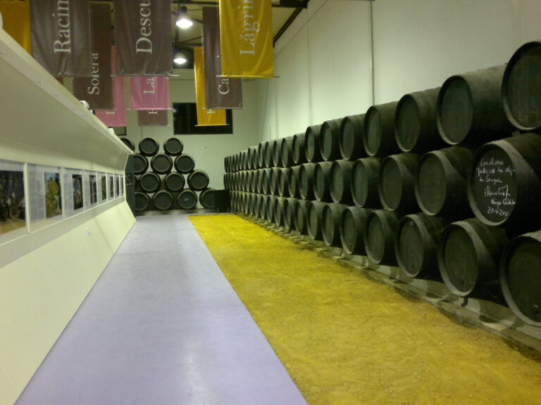 bodega san acacio museo 768x576