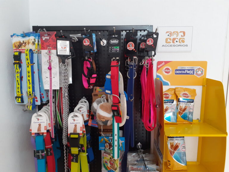 veterinario montemayor accesorios 768x576