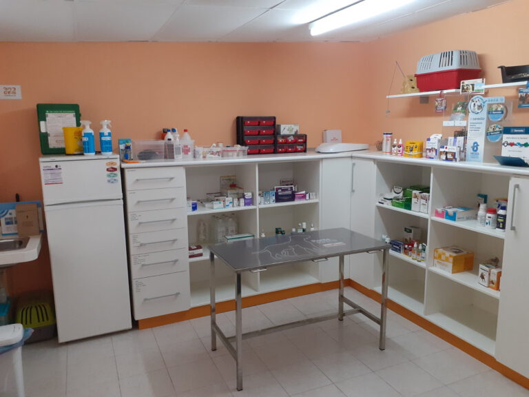 veterinario montemayor consulta 768x576