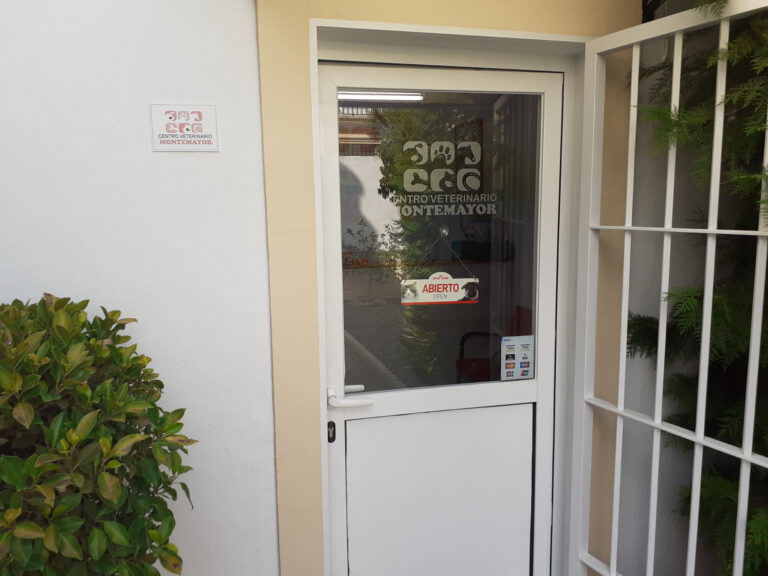 veterinario montemayor entrada 1 768x576