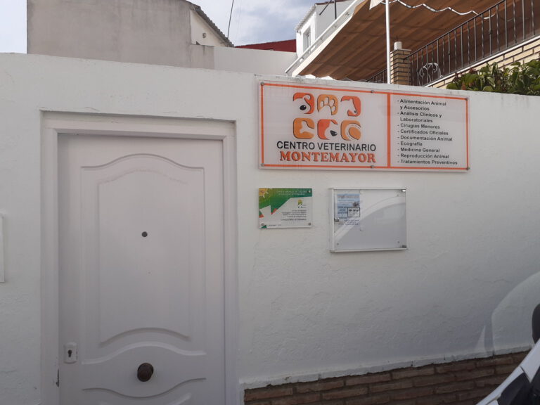 veterinario montemayor entrada 768x576