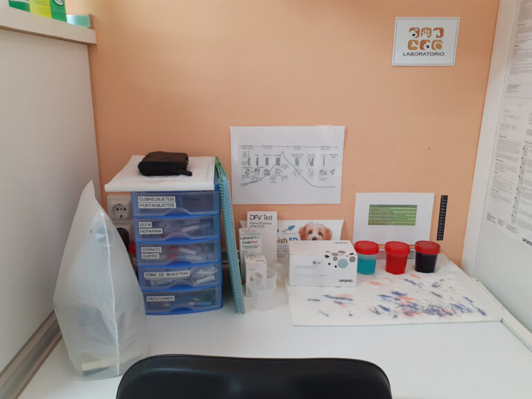 veterinario montemayor laboratorio 768x576