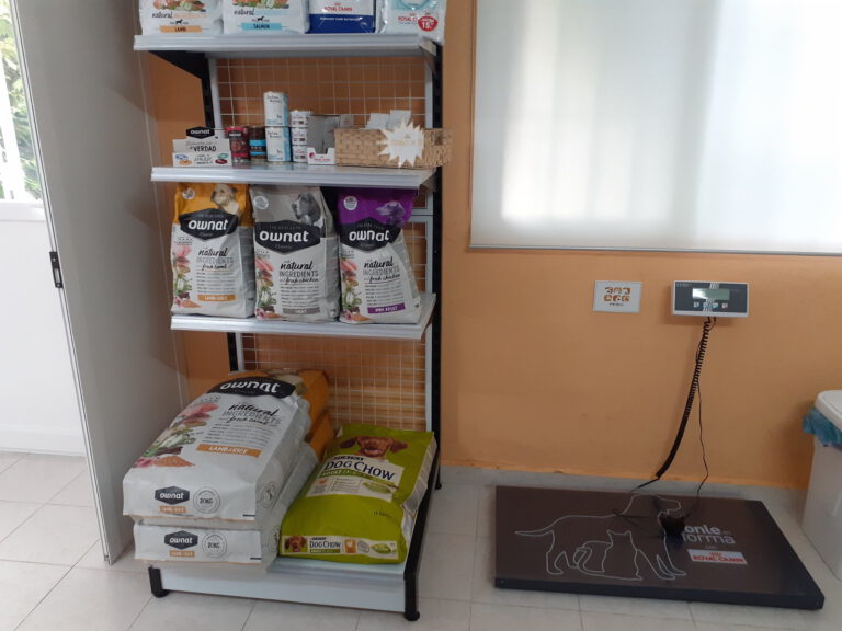 veterinario montemayor peso 768x576