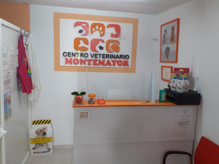 veterinario montemayor recepcion 768x576