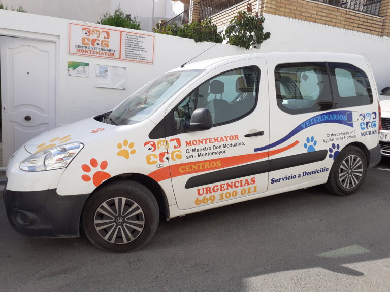 veterinario montemayor unidad movil 768x576