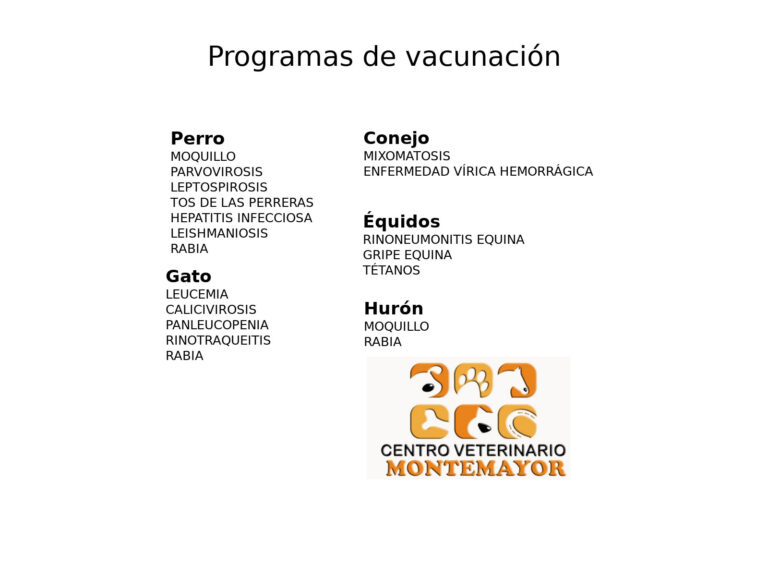 veterinario montemayor vacunas 768x576