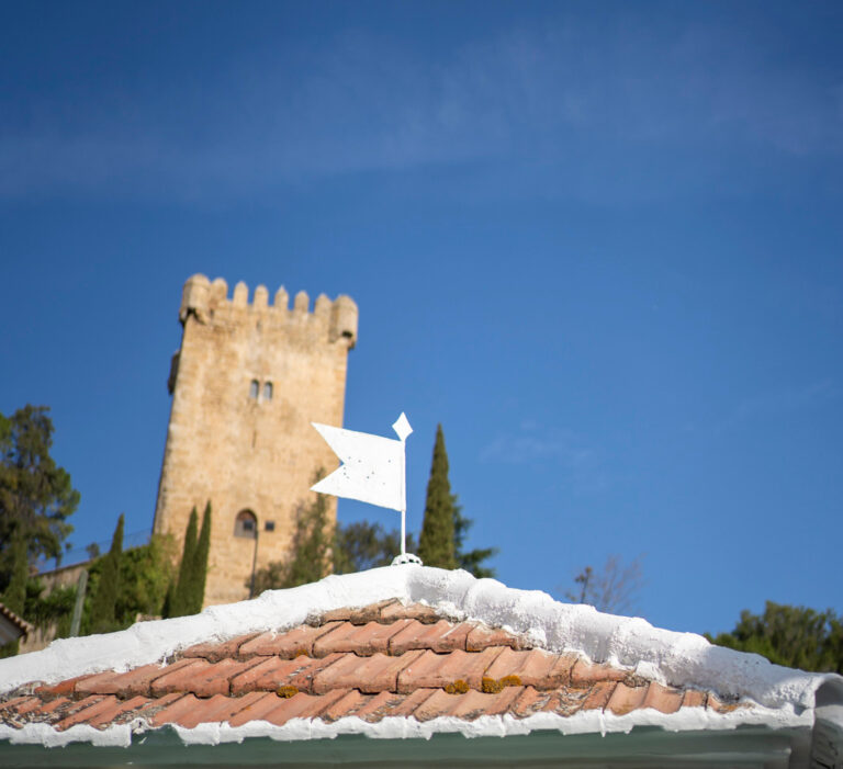 kiosco castillo 768x701