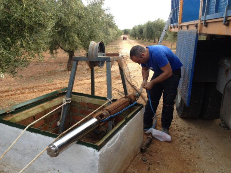 montaelec trabajo campo 768x576