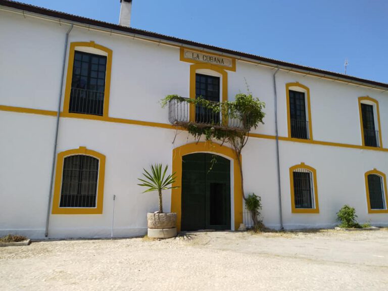 pinturas juan antonio exterior 768x576