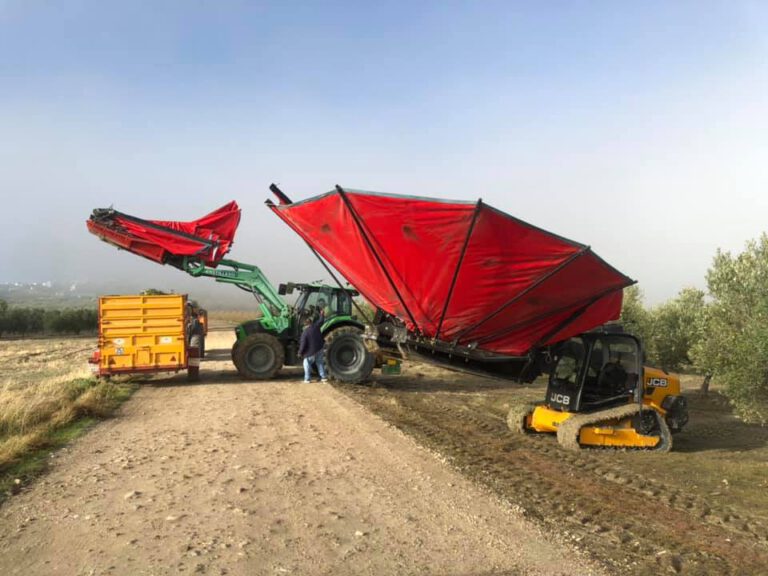 agroservicios ganeta aceituna 768x576