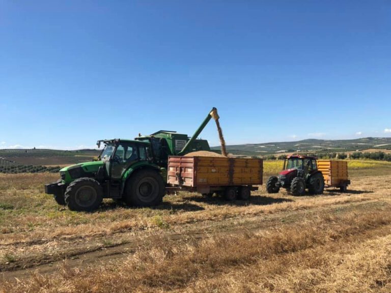 agroservicios ganeta recoleccion 768x576