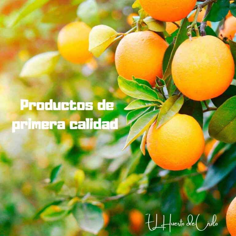 productos de primera calidad 768x768