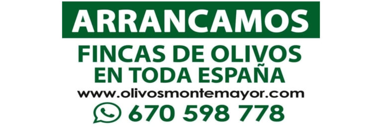 olivos montemayor tarjeta 768x266