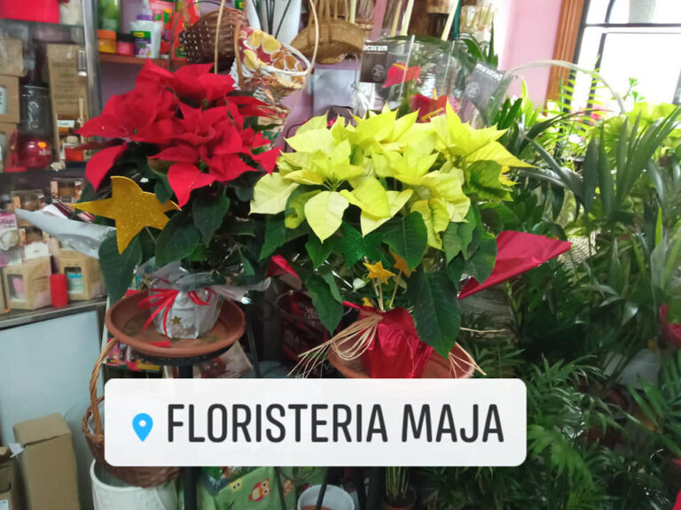 floristeria maja flores pascua 768x576