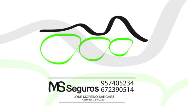 MSSEGUROS-Logo.jpg
